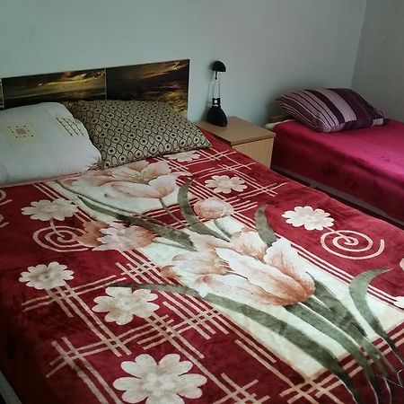 Sosnowy Dworek Apartamento Józefów Exterior foto